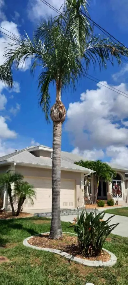 Reliable garden landscaping experts serving North Port, FL - O Donnell's Landscaping