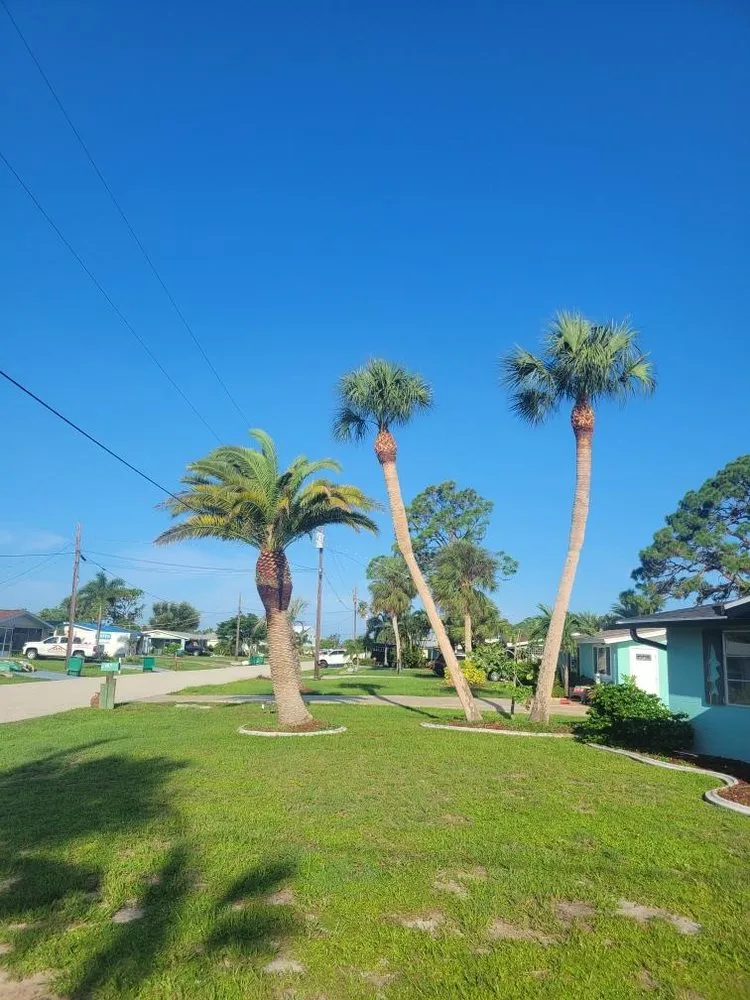 Local landscape design experts serving North Port, FL - O Donnell's Landscaping