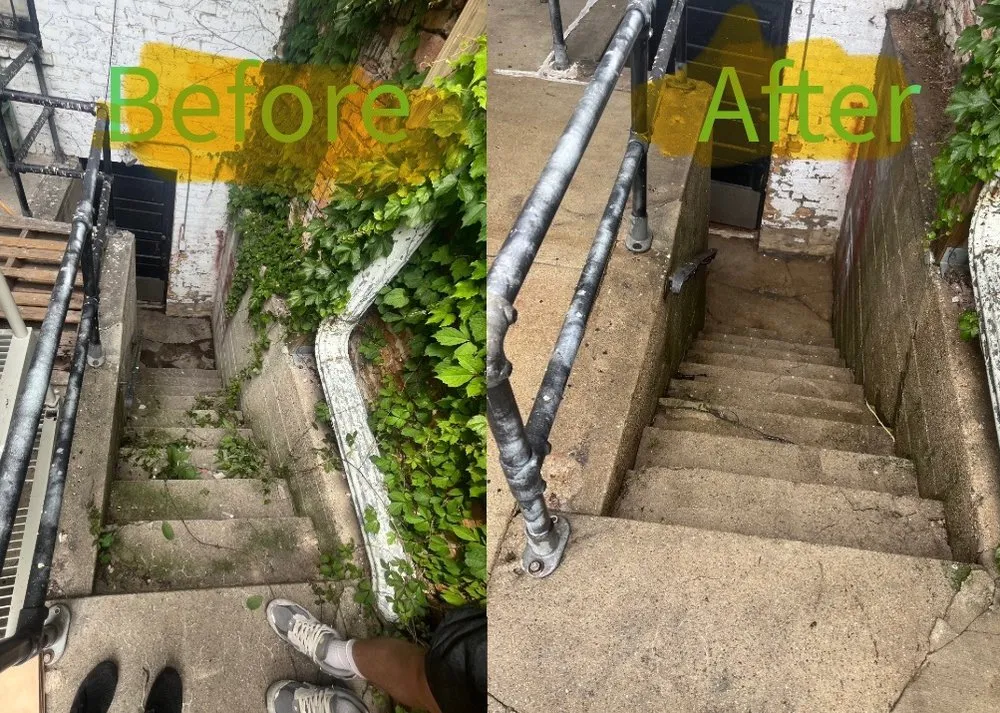 Trusted yard cleanup service for residential properties across Chicago, IL - O' Donnell's Powerwashing