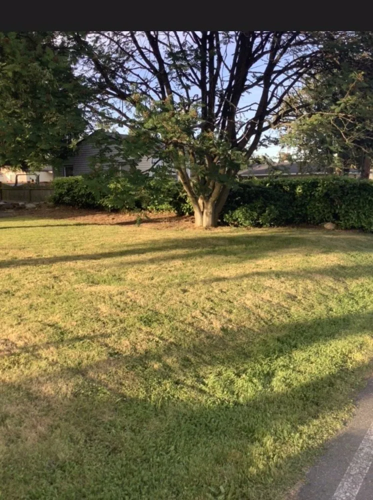 Expert lawn mowing service near you across Lynnwood, WA - O& E Landscaping Services