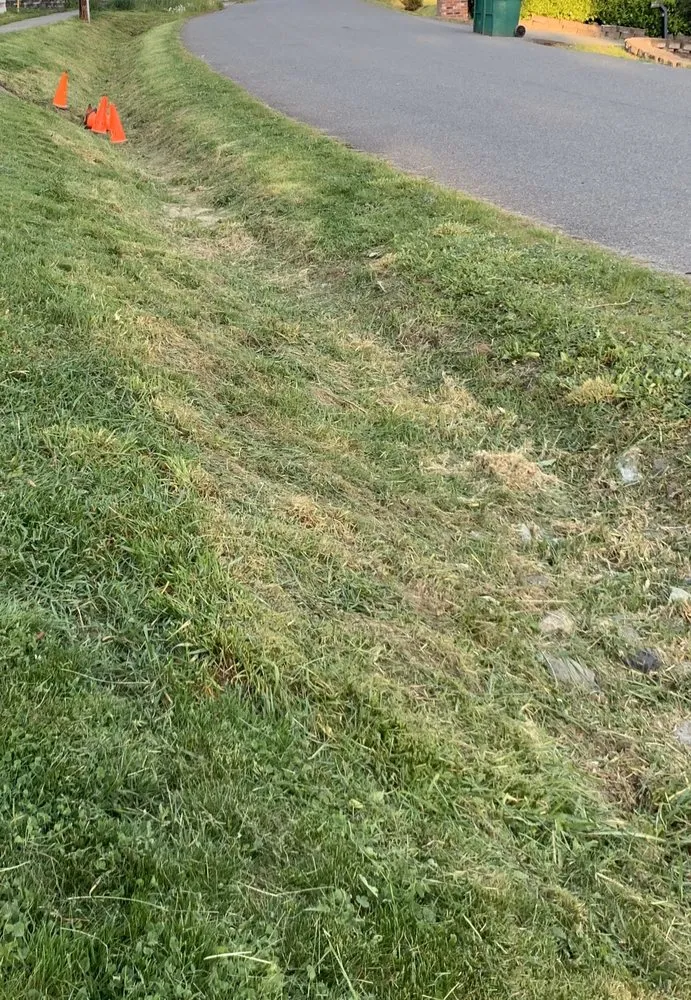 Expert landscaping services for beautiful yards across Lynnwood, WA - O& E Landscaping Services