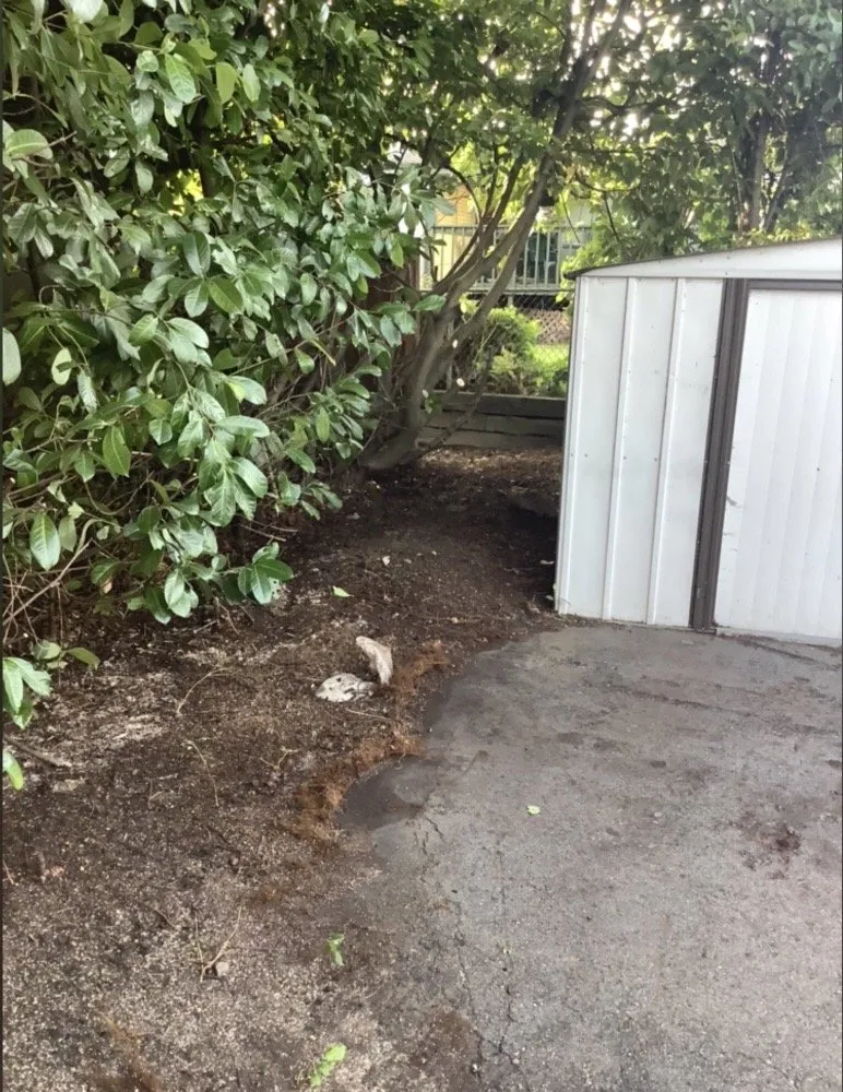 Affordable yard maintenance in Lynnwood, WA - O& E Landscaping Services