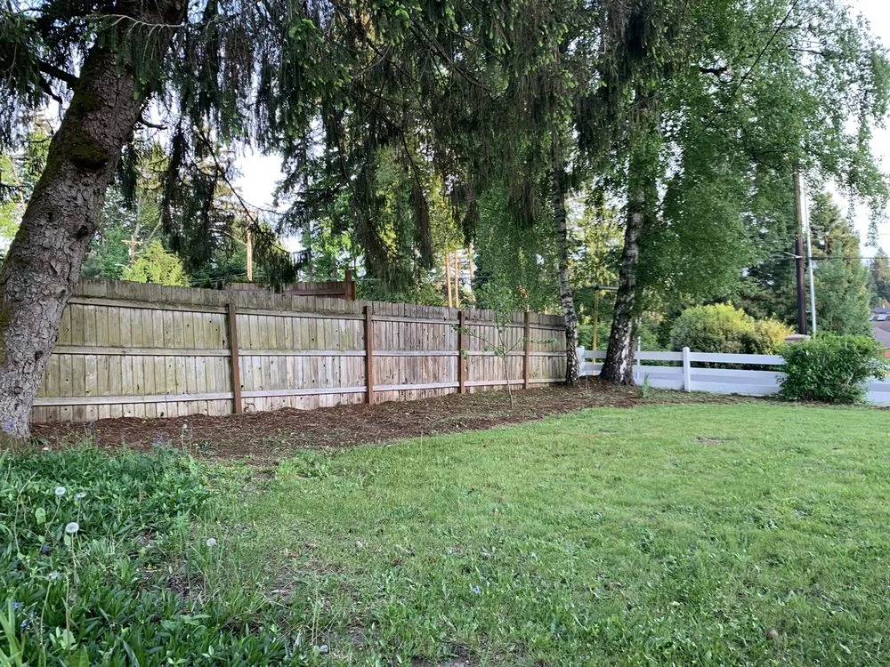 Reliable yard cleanup service for homes in Lynnwood, WA by O& E Landscaping Services