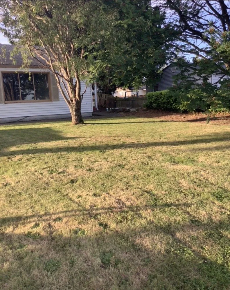 Expert landscaping services for homes across Lynnwood, WA - O& E Landscaping Services