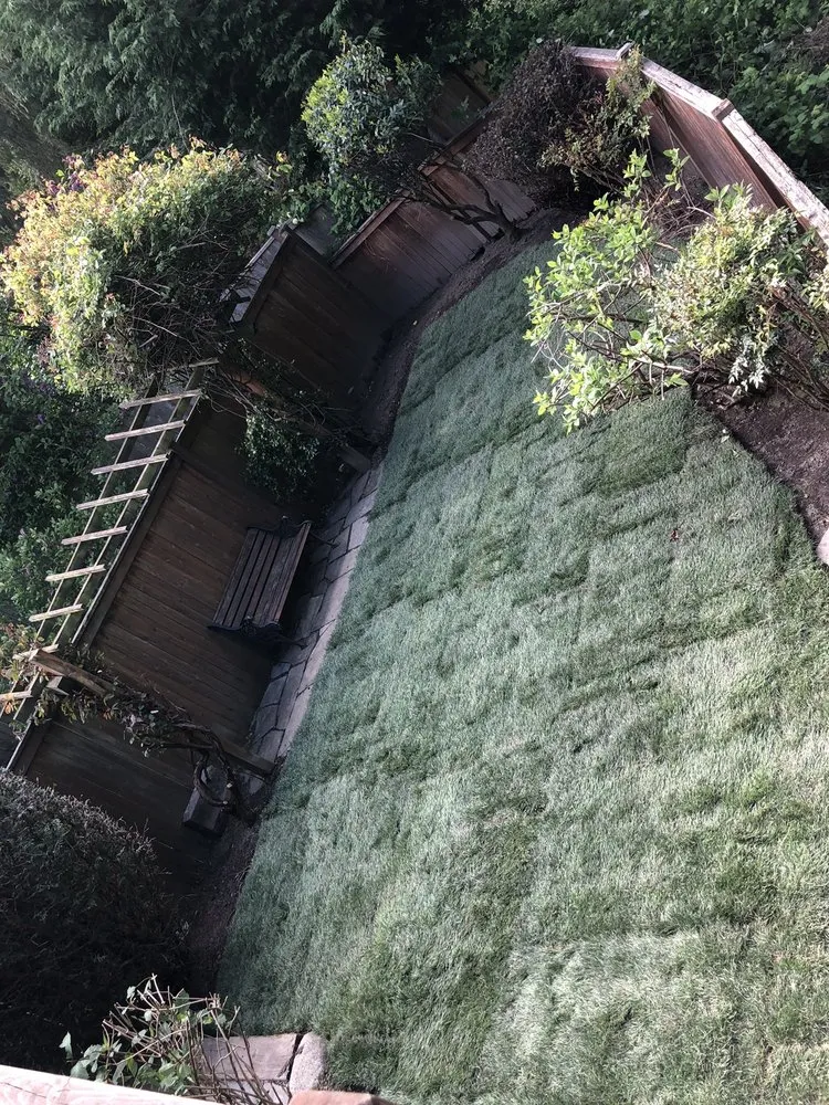 Expert landscape design for outdoor upgrades across Lynnwood, WA - O& E Landscaping Services