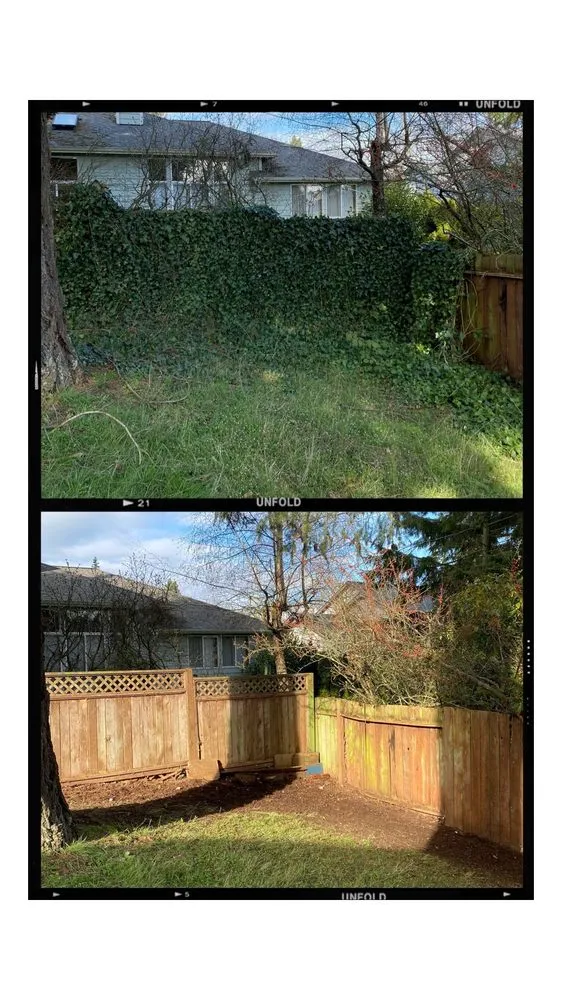 Affordable landscaping services for homes in Lynnwood, WA by O& E Landscaping Services