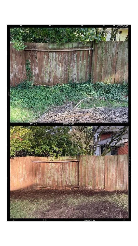 Custom yard maintenance in Lynnwood, WA - O& E Landscaping Services