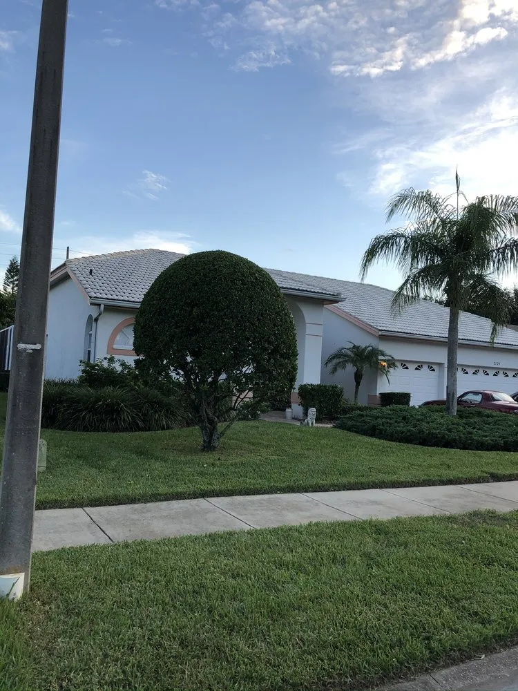 Affordable landscape installation experts serving Dunedin, FL - O G Lawn Service