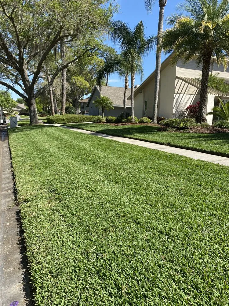 Custom landscape installation in Dunedin, FL by O G Lawn Service