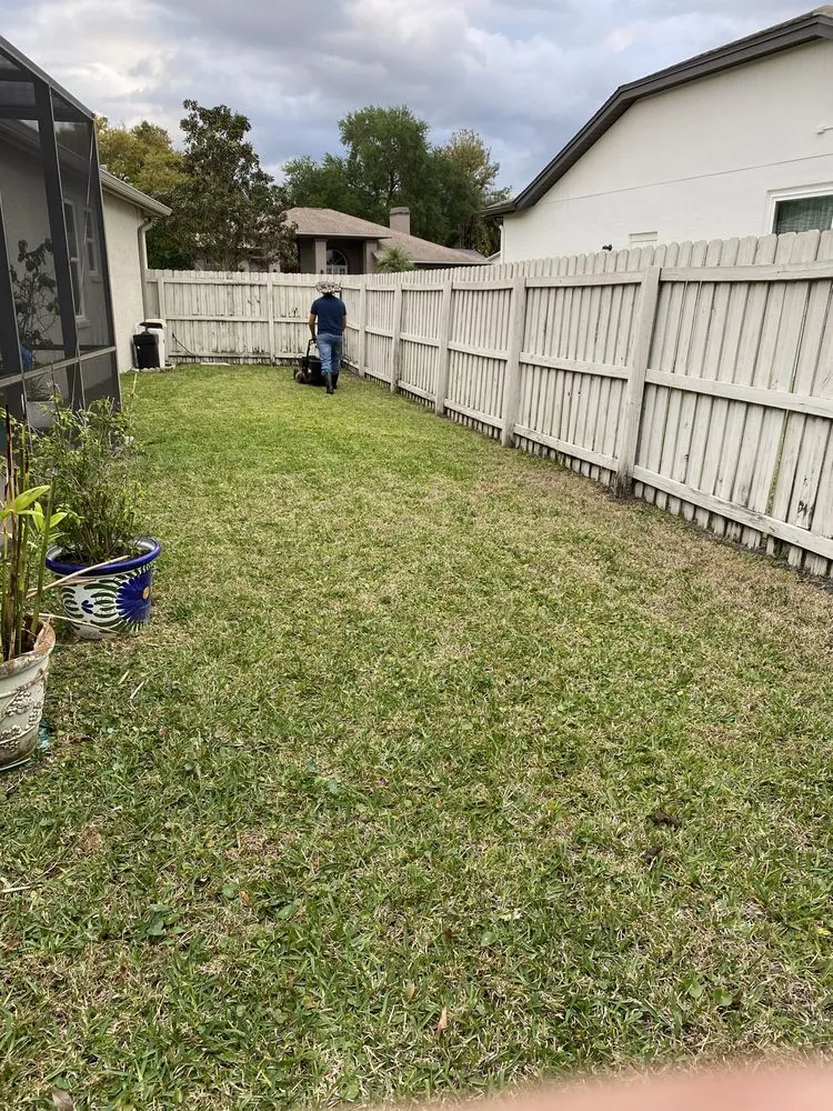 Professional landscaping services for homes across Dunedin, FL - O G Lawn Service