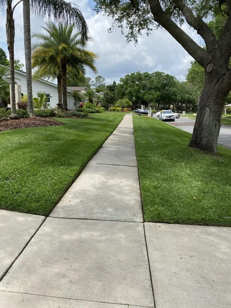 Trusted yard maintenance in Dunedin, FL - O G Lawn Service