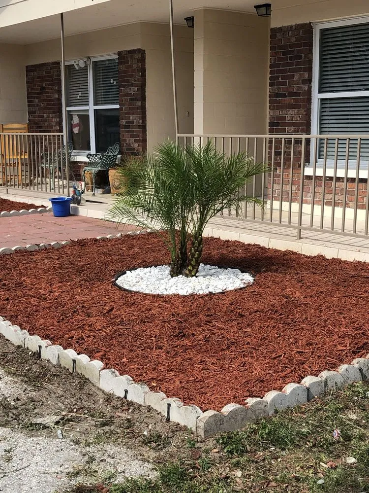 Expert landscaping services for beautiful yards across Dunedin, FL - O G Lawn Service