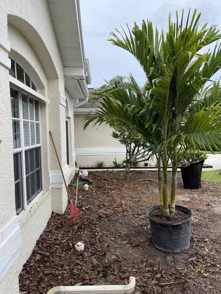 Affordable outdoor landscaping for outdoor upgrades across Dunedin, FL - O G Lawn Service