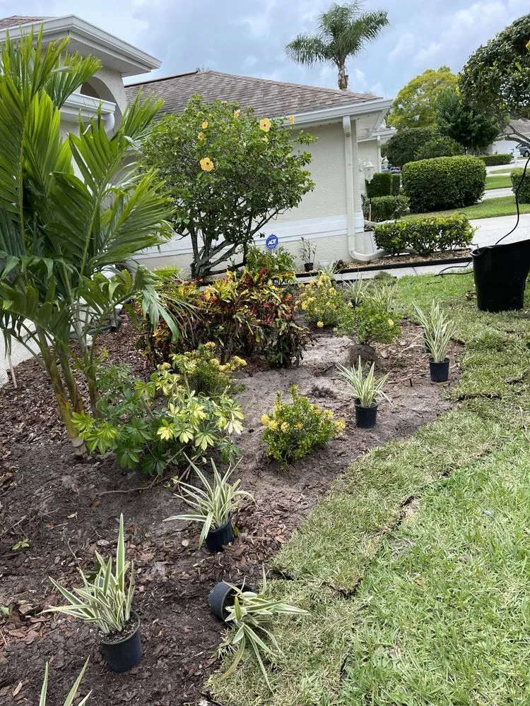 Local residential landscaping experts serving Dunedin, FL - O G Lawn Service