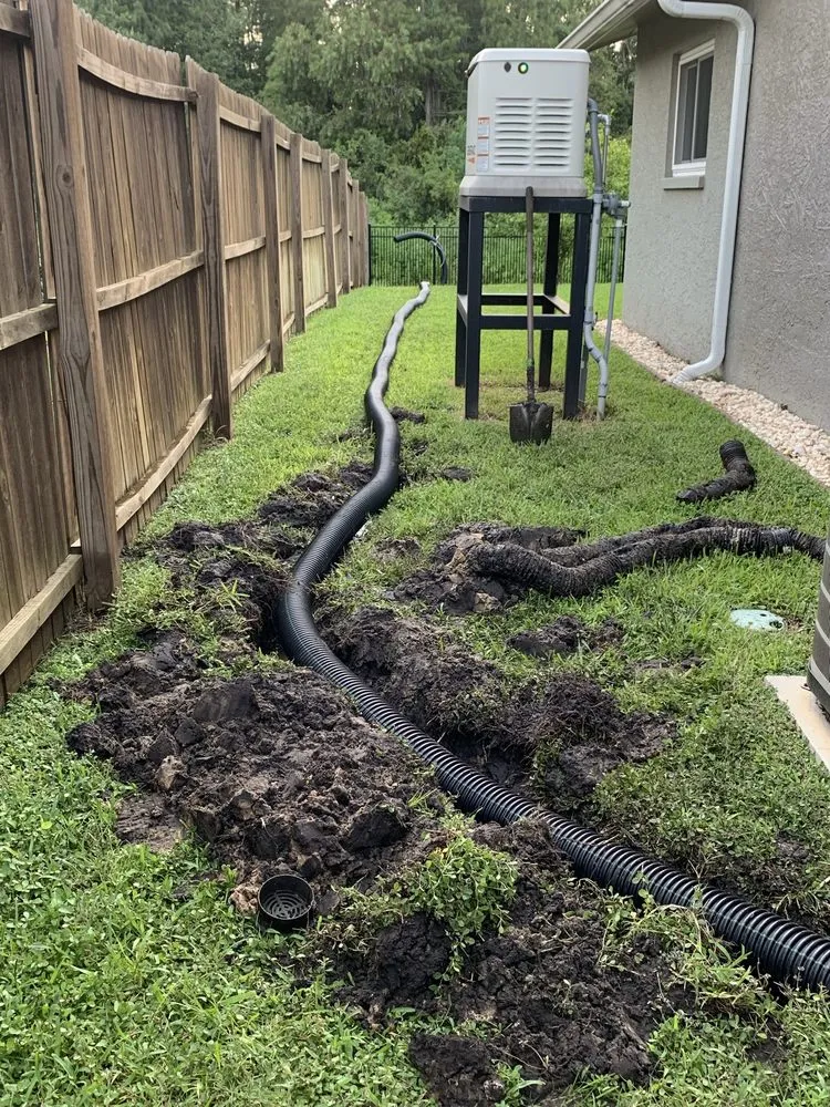 Top-rated yard cleanup service for year-round maintenance across Dunedin, FL - O G Lawn Service