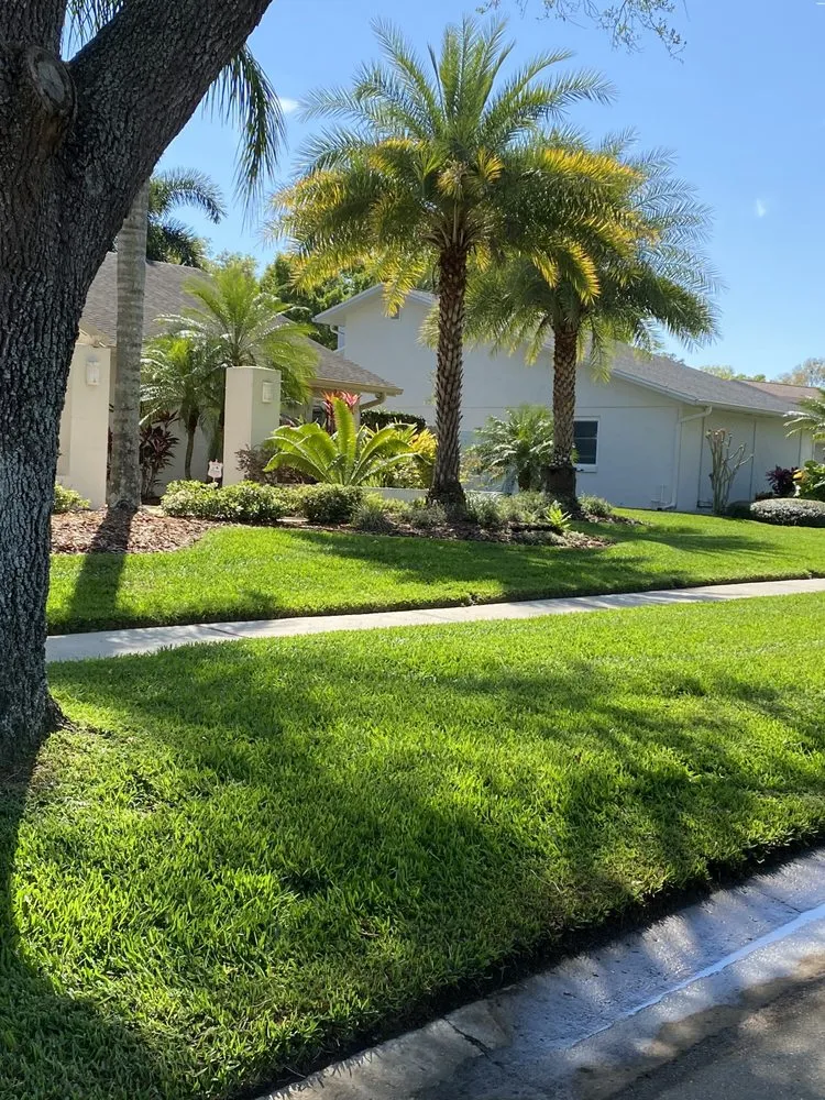 Expert yard maintenance for outdoor upgrades in Dunedin, FL by O G Lawn Service