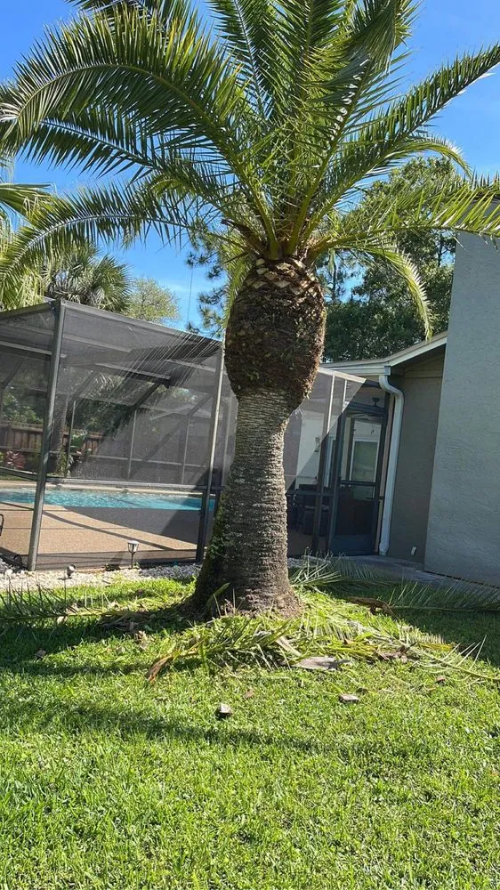 Custom yard maintenance in Dunedin, FL - O G Lawn Service