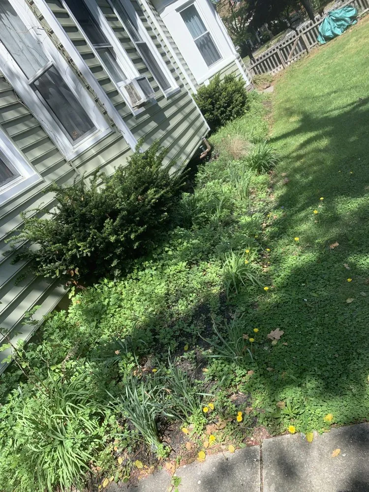 Trusted residential landscaping experts serving Merchantville, NJ - O Lawn & Landscaping