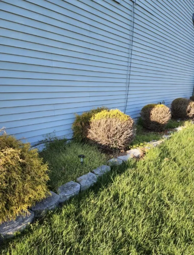 Top-rated garden landscaping experts serving Merchantville, NJ - O Lawn & Landscaping