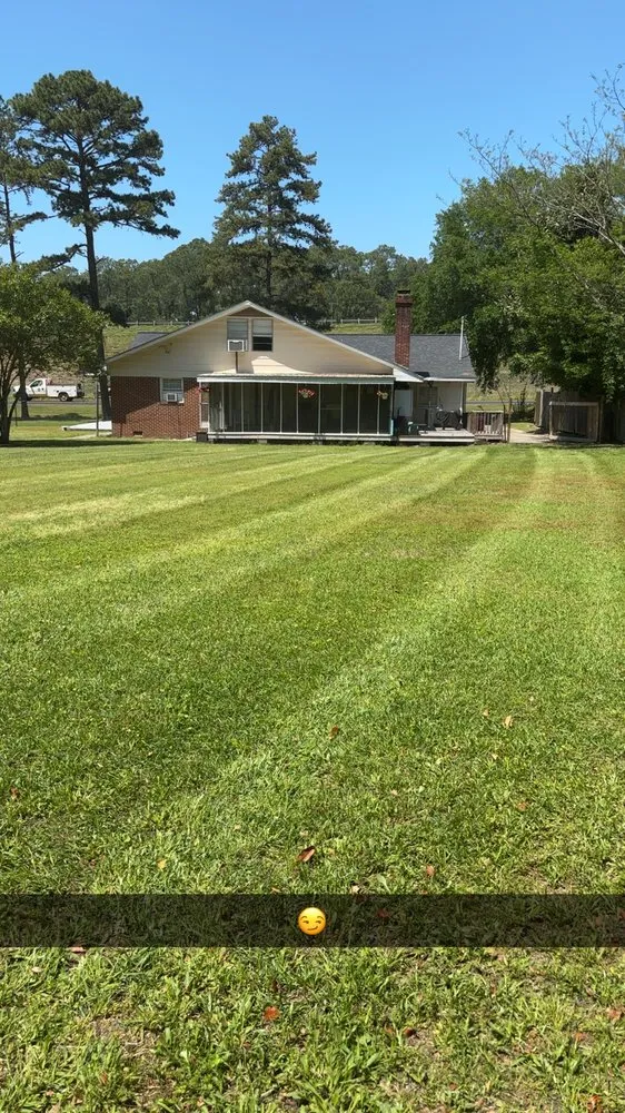 Reliable landscaping services in Tifton, GA - O M Mowing