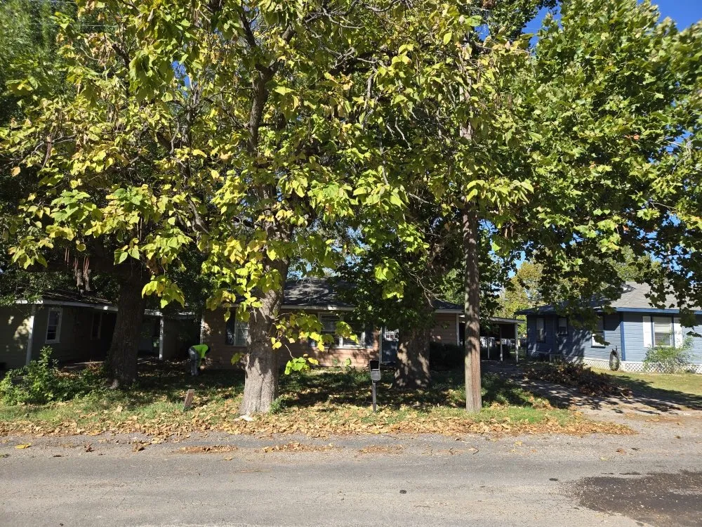 Top-rated yard maintenance in Richardson, TX - O M W Landscaping