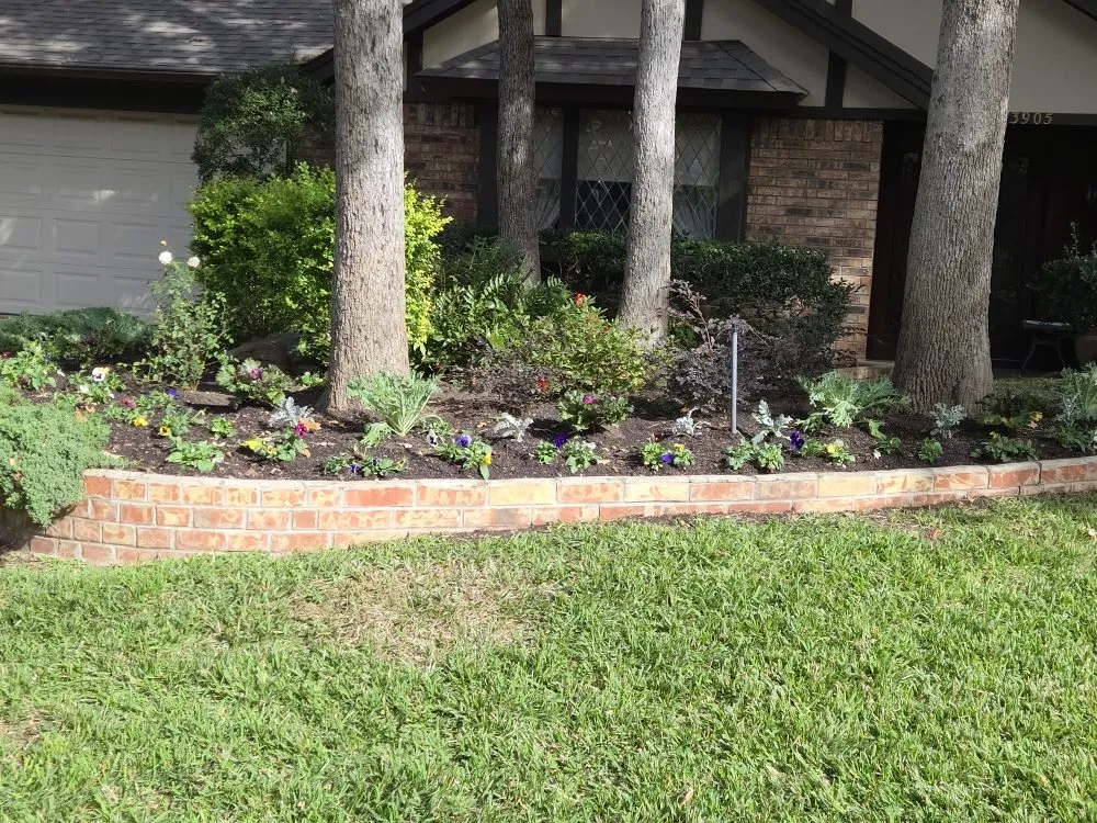 Trusted yard maintenance in Richardson, TX by O M W Landscaping