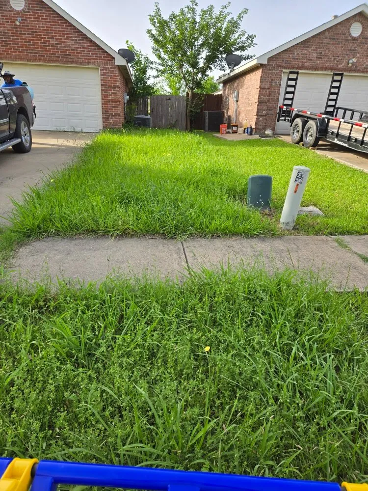 Professional lawn mowing service for residential properties across Richardson, TX - O M W Landscaping