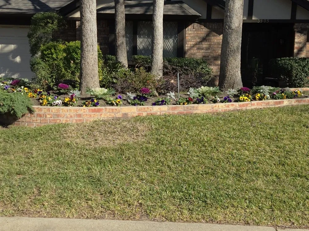 Custom yard maintenance in Richardson, TX - O M W Landscaping