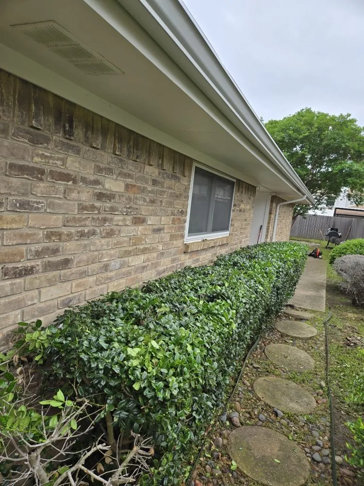 Custom lawn care service for outdoor upgrades in Richardson, TX by O M W Landscaping