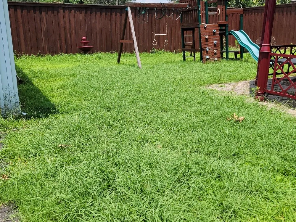 Reliable lawn mowing service for beautiful yards across Richardson, TX - O M W Landscaping