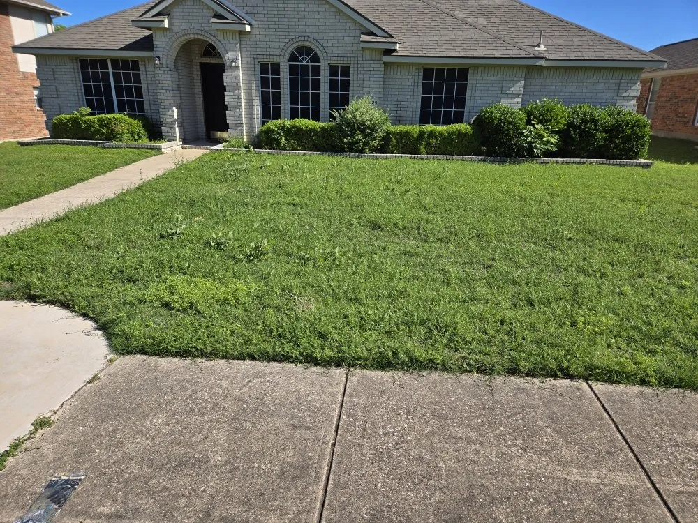 Top-rated lawn mowing service for homes across Richardson, TX - O M W Landscaping