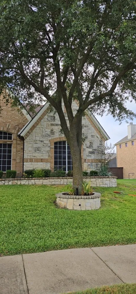 Affordable garden landscaping in Richardson, TX by O M W Landscaping