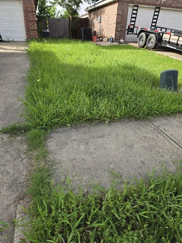 Trusted landscape design in Richardson, TX by O M W Landscaping