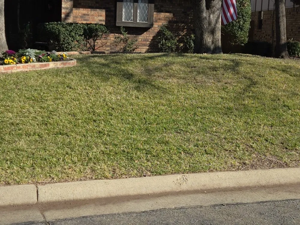 Trusted residential landscaping for residential properties across Richardson, TX - O M W Landscaping