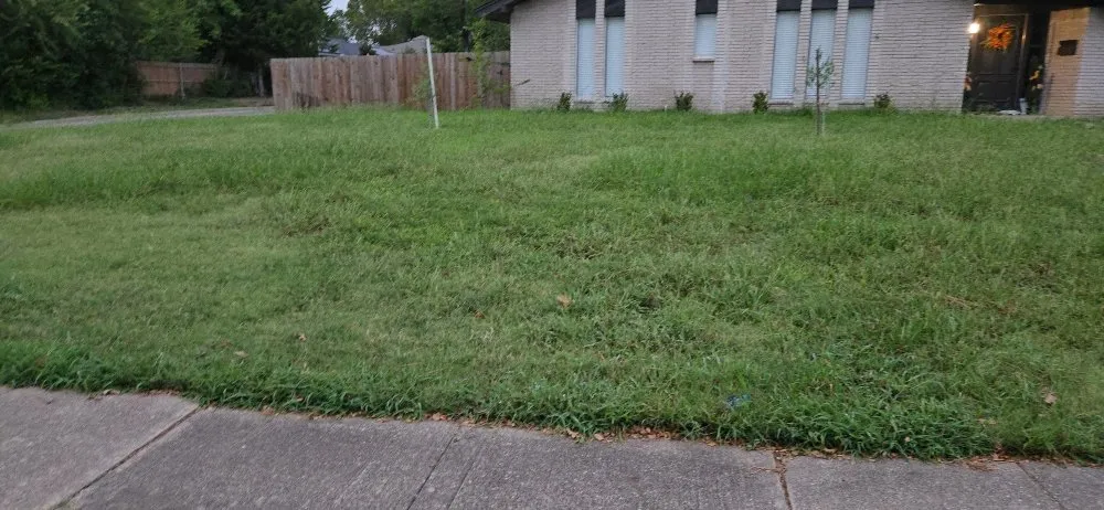 Reliable outdoor landscaping in Richardson, TX - O M W Landscaping