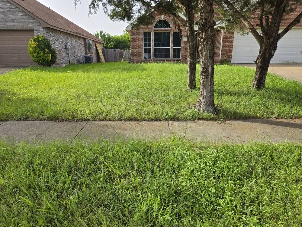 Top-rated residential landscaping in Richardson, TX - O M W Landscaping