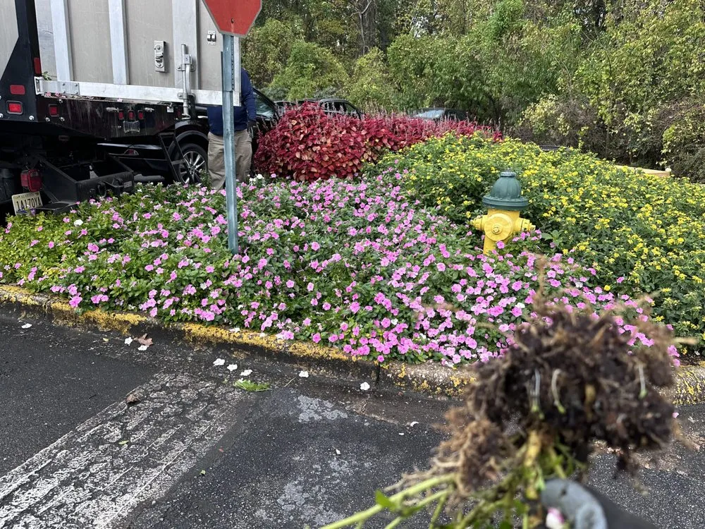 Local lawn mowing service experts serving Pell City, AL - O P N Lawn Care