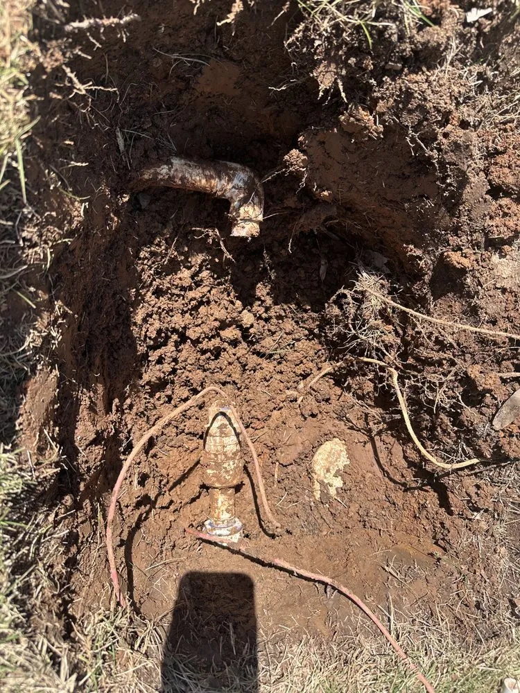 Custom lawn care service for homes in Pell City, AL by O P N Lawn Care