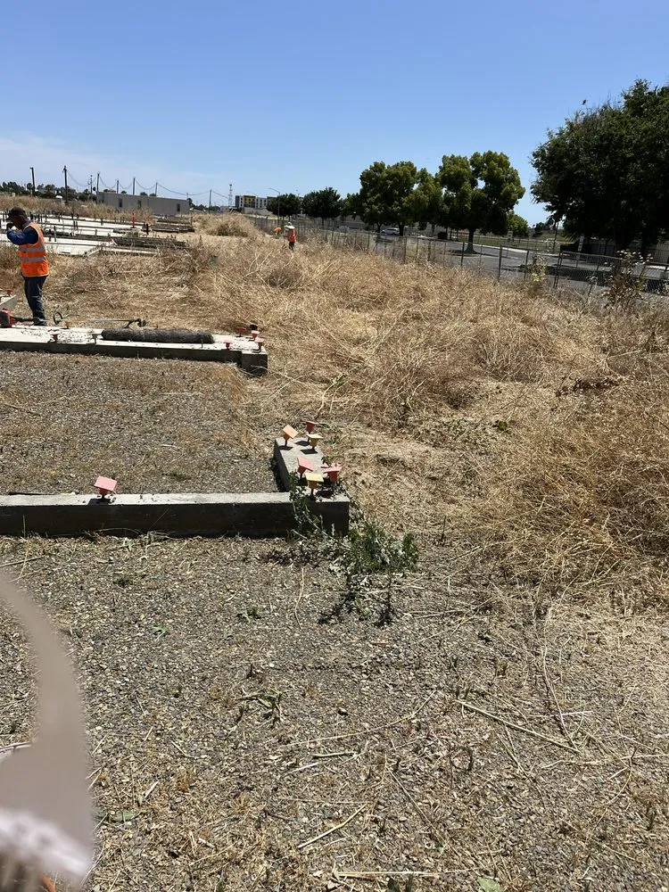 Reliable lawn care service in Madera, CA by O Ramirez Landscaping