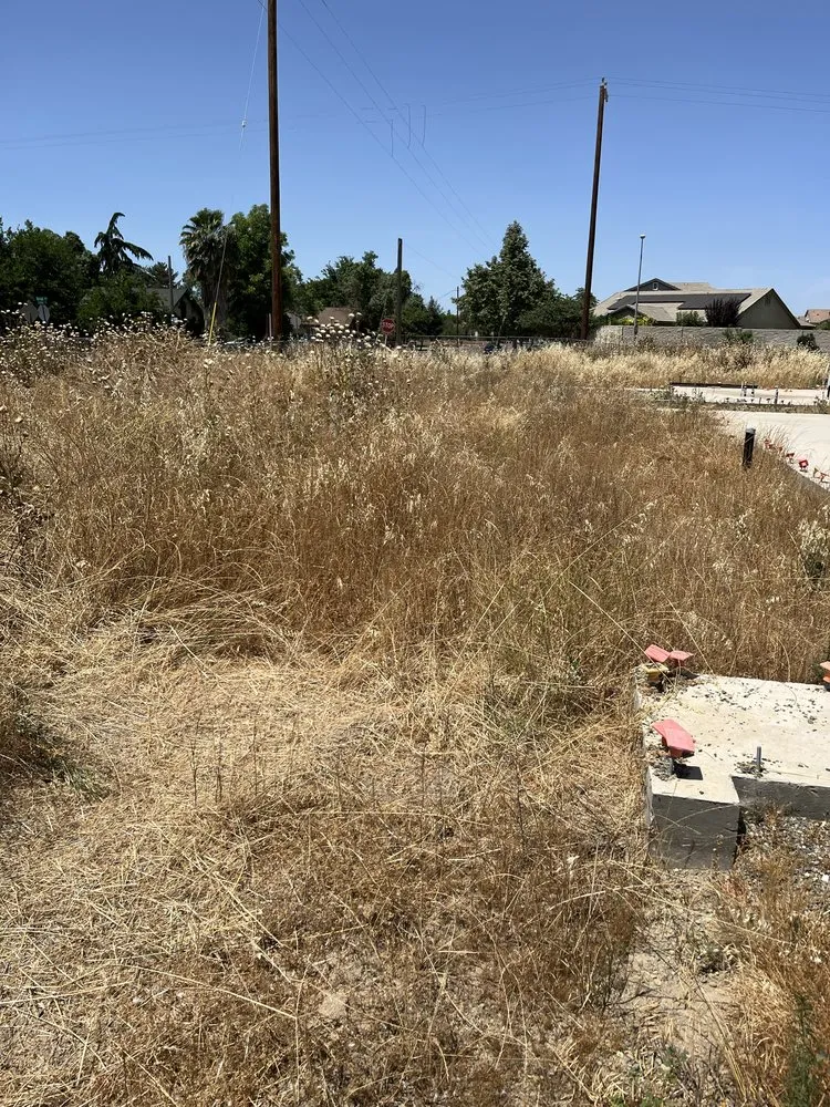 Custom landscaping services in Madera, CA by O Ramirez Landscaping