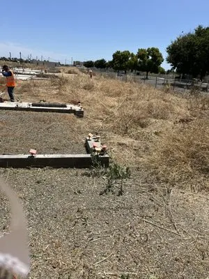 O Ramirez Landscaping Logo