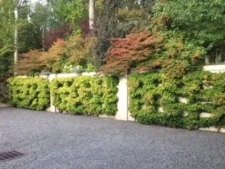 Affordable yard maintenance in Hudson, NY - O. Scali Landscaping