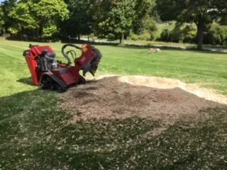 Affordable garden landscaping in Hudson, NY by O. Scali Landscaping