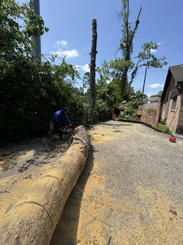 Expert landscape installation near you in Houston, TX by O Scapes