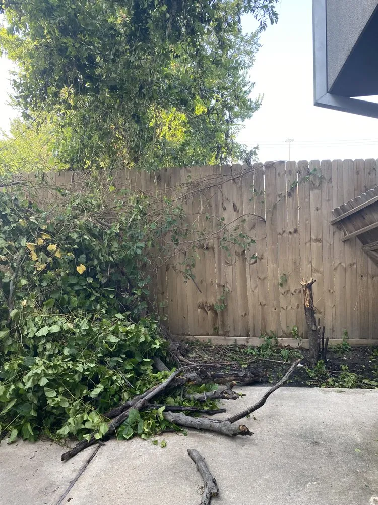 Expert garden landscaping for homes in Houston, TX by O Scapes