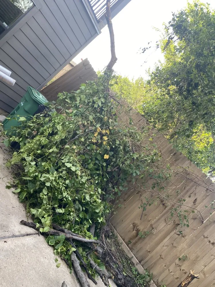 Reliable lawn mowing service experts serving Houston, TX - O Scapes