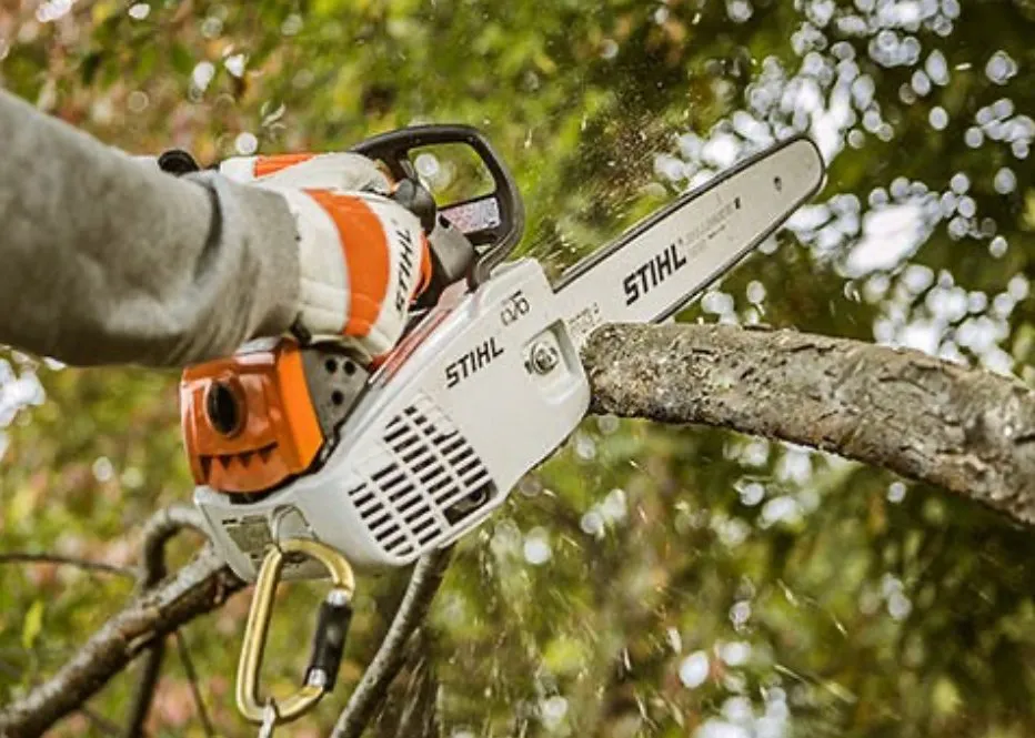 Top-rated yard cleanup service in Houston, TX by O Scapes