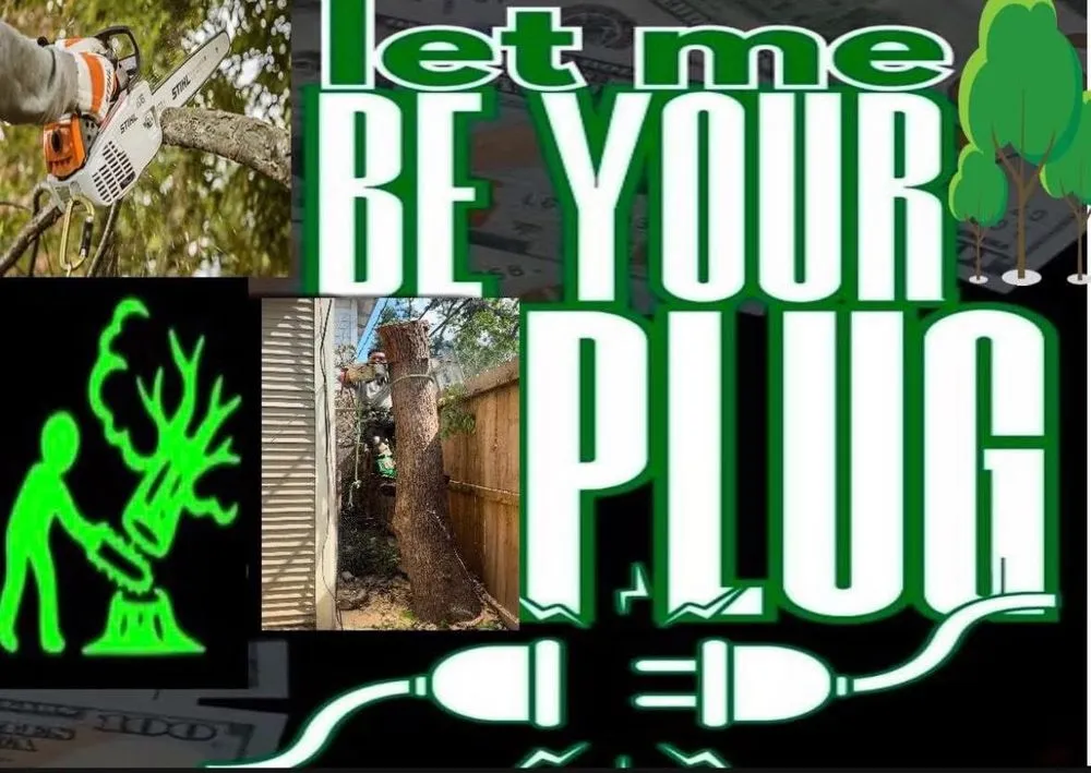 Reliable lawn mowing service experts serving Houston, TX - O Scapes