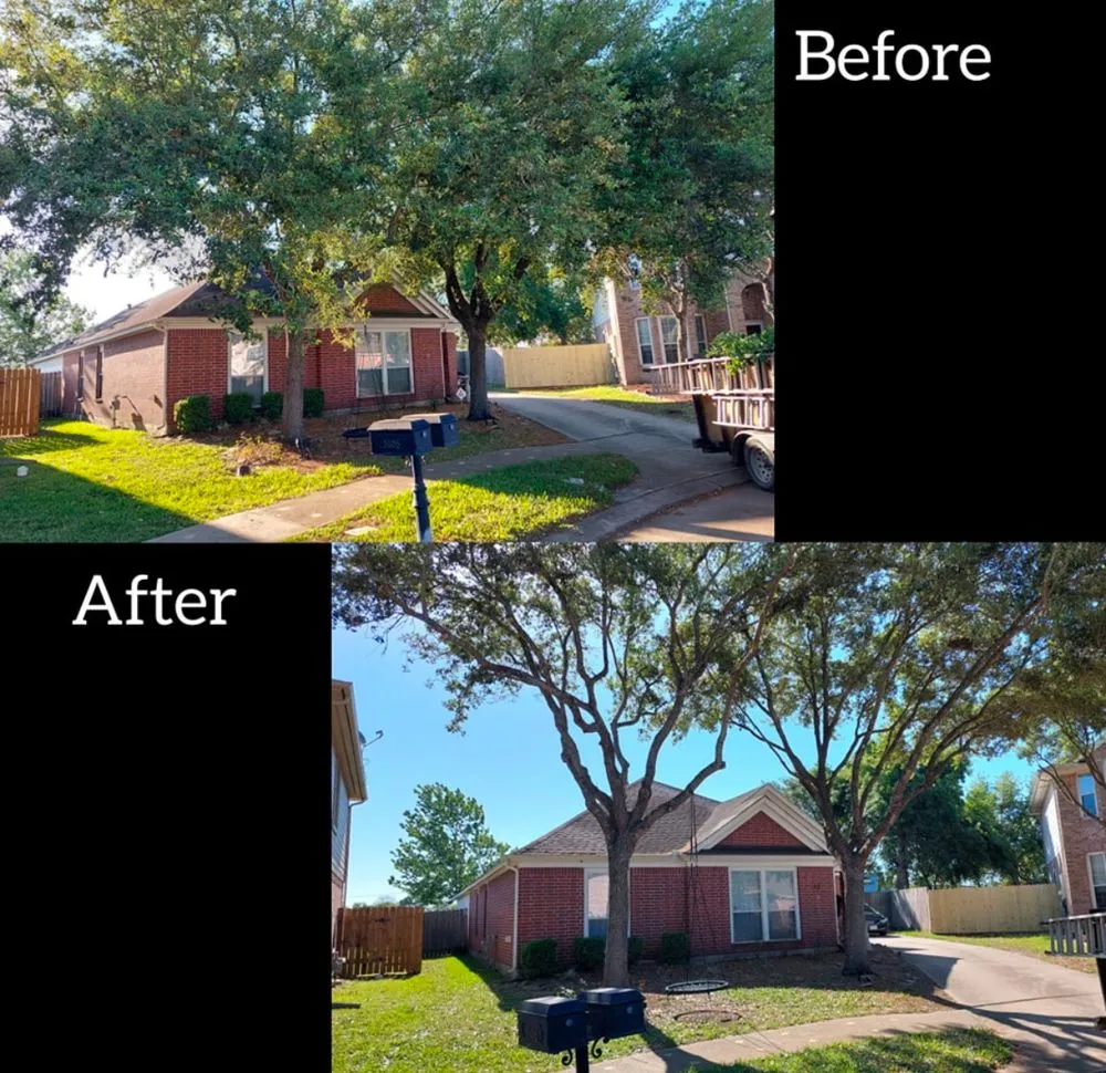 Top-rated yard maintenance in Houston, TX by O Scapes