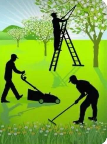 Expert landscaping services for residential properties across Houston, TX - O Scapes